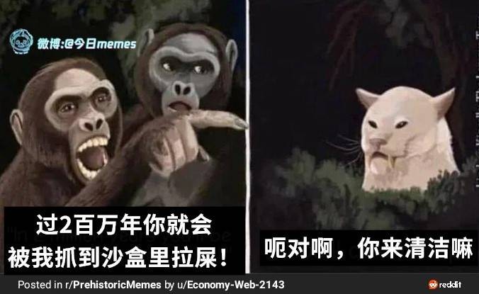 轻松一刻第1476期 本可靠脸吃饭但实力吊打世界