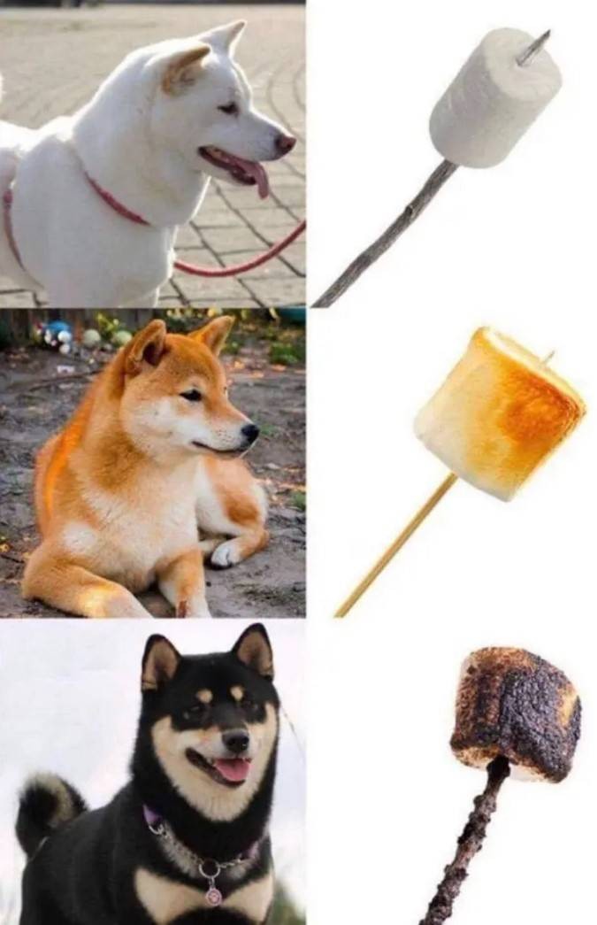 3DM輕松一刻第1476期 本可靠臉吃飯但實(shí)力吊打世界