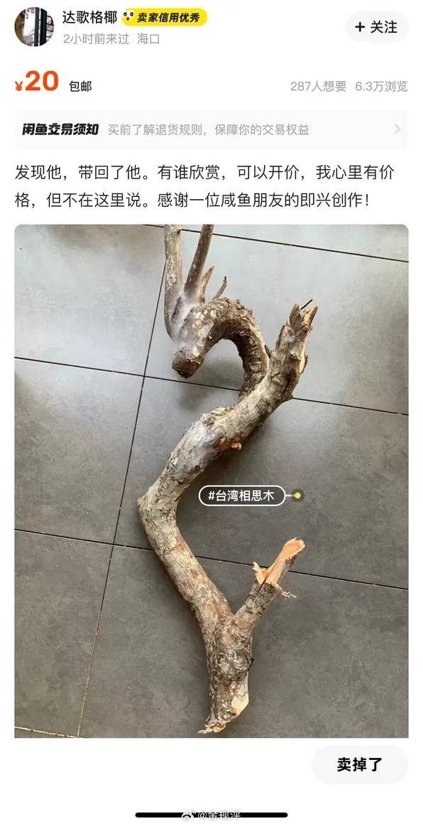 3DM輕松一刻第1476期 本可靠臉吃飯但實力吊打世界