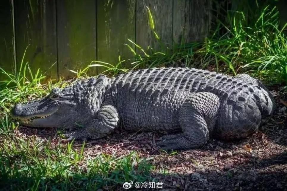 周五福利囧图云飞系列 人长得好看穿什么也好看！