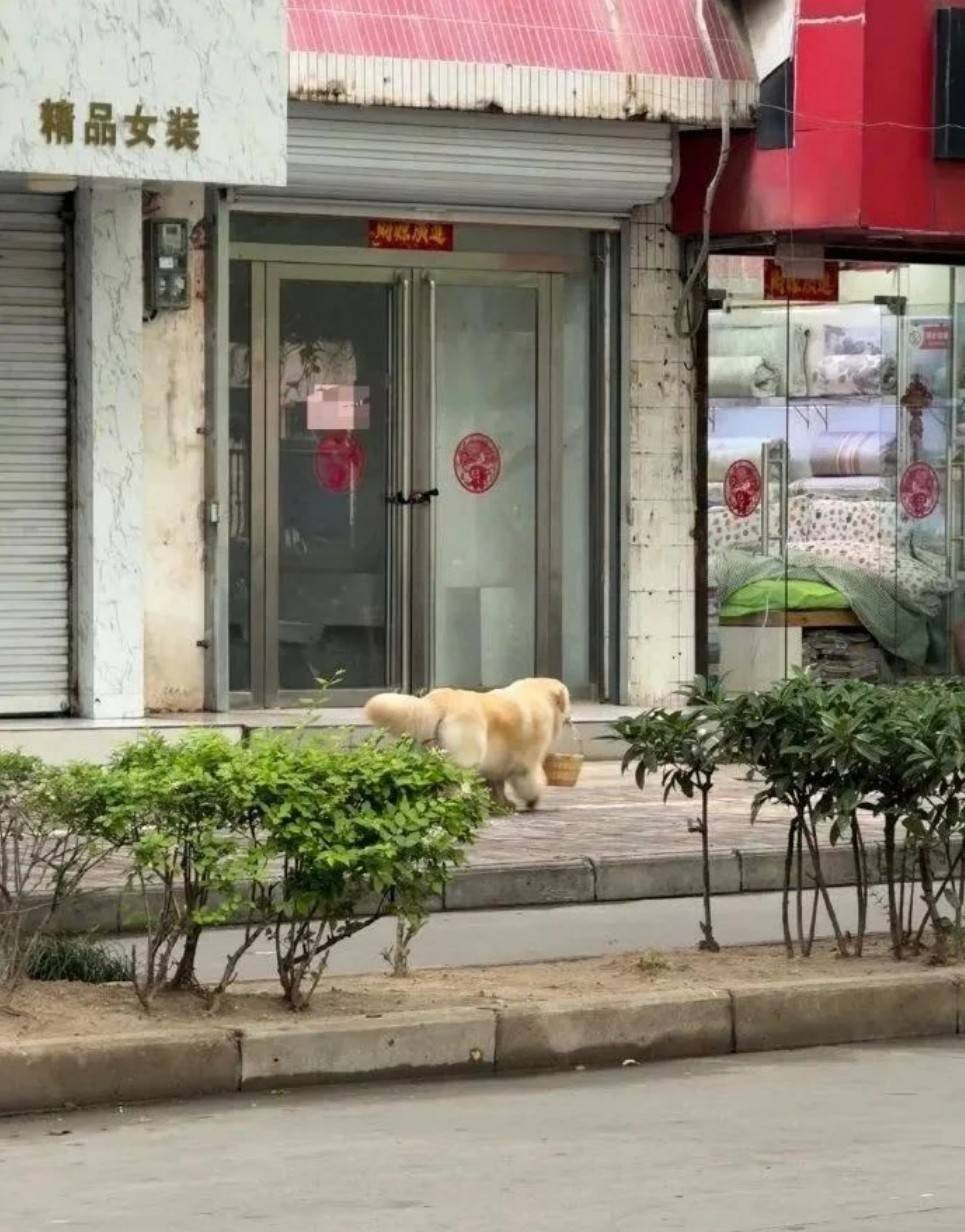 周五福利囧图云飞系列 人长得好看穿什么也好看！