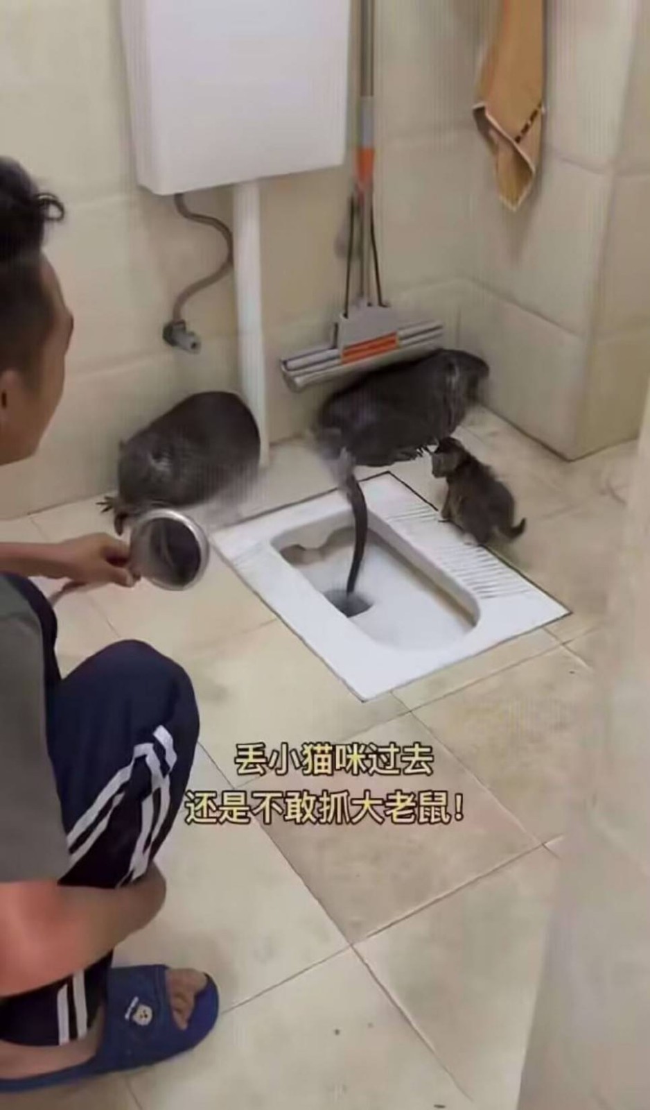 周五福利囧圖云飛系列 人長得好看穿什么也好看！
