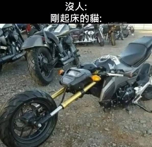 3DM輕松一刻第1477期 舞蹈演員訓(xùn)練真是不容易啊