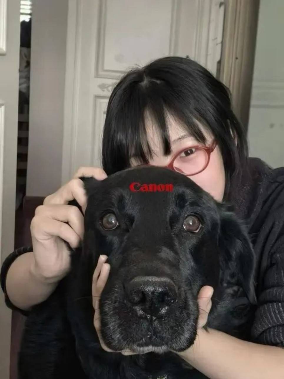 周一內(nèi)涵囧圖云飛系列 美女騎馬能陶冶情操鍛煉形體