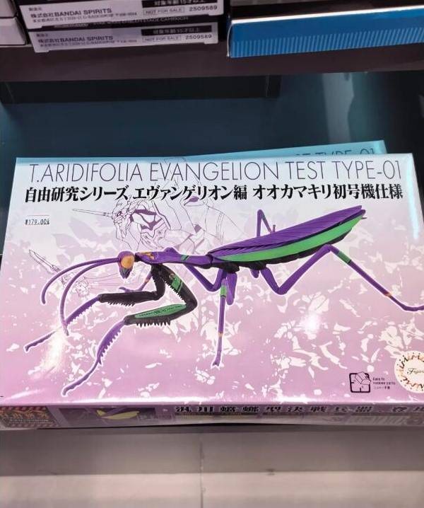 3DM輕松一刻第1480期 居家過日子不要有太多誤會(huì)