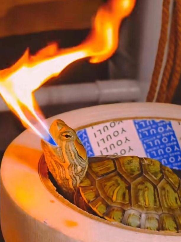 轻松一刻第1481期 网红教你一步到位进医院！