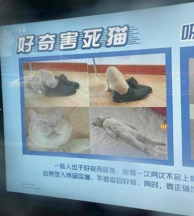 轻松一刻第1481期 网红教你一步到位进医院！