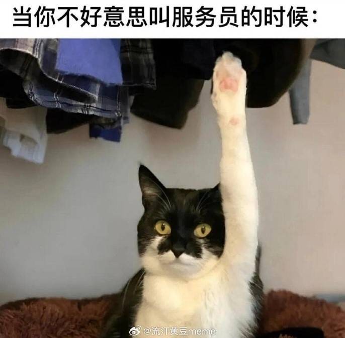3DM輕松一刻第1481期 網(wǎng)紅教你一步到位進(jìn)醫(yī)院！