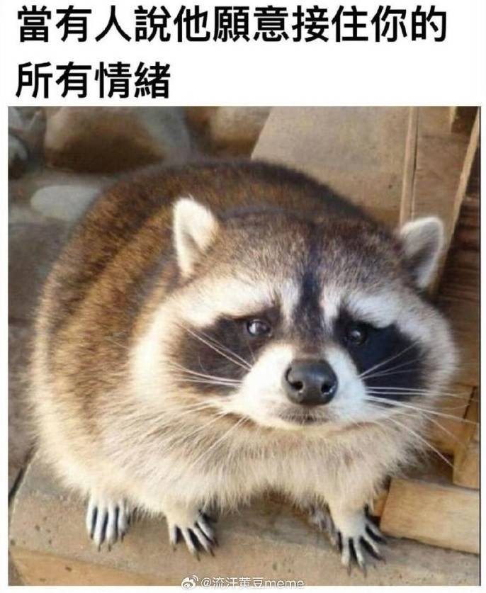 3DM輕松一刻第1482期 這到底是有素質(zhì)還是沒(méi)素質(zhì)