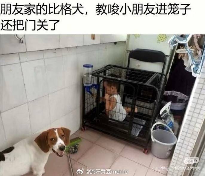 3DM輕松一刻第1482期 這到底是有素質還是沒素質
