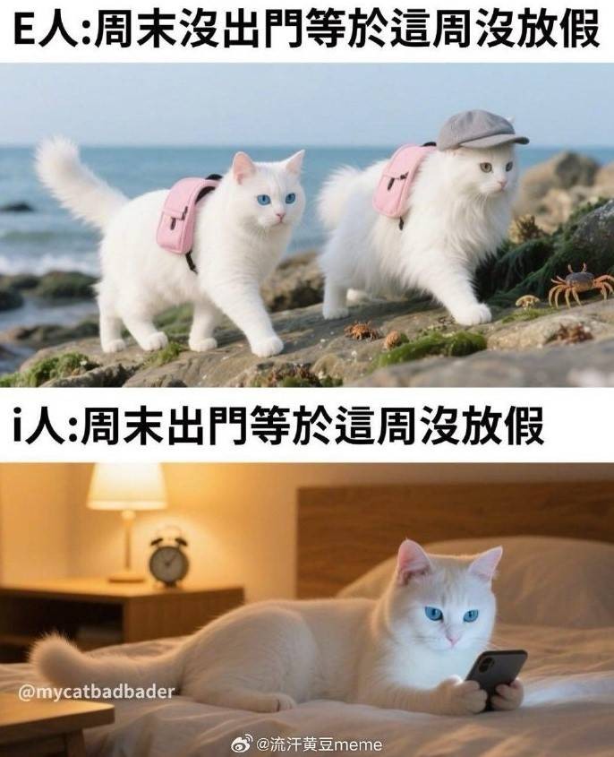 3DM輕松一刻第1482期 這到底是有素質(zhì)還是沒素質(zhì)