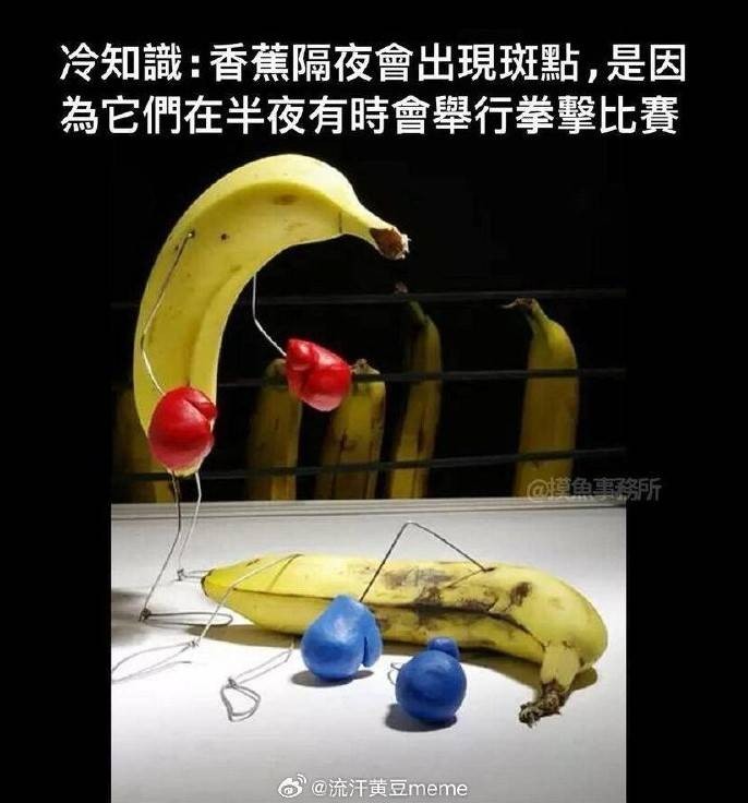 3DM輕松一刻第1482期 這到底是有素質(zhì)還是沒(méi)素質(zhì)