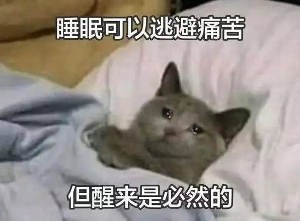 3DM輕松一刻第1484期 傳道授業(yè)解惑對(duì)知識(shí)如此渴望