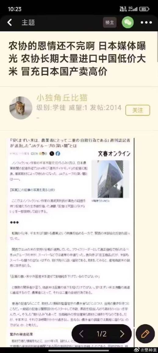3DM輕松一刻第1485期 曲線玲瓏玉腿修長步生風(fēng)