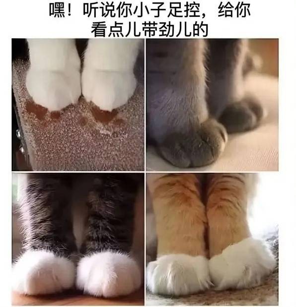 3DM輕松一刻第1486期 當你不順的時候事事都不順
