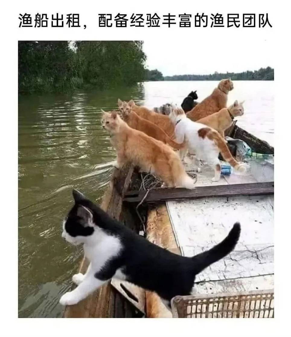 周五福利囧图云飞系列 看到她微笑感觉空气都变甜