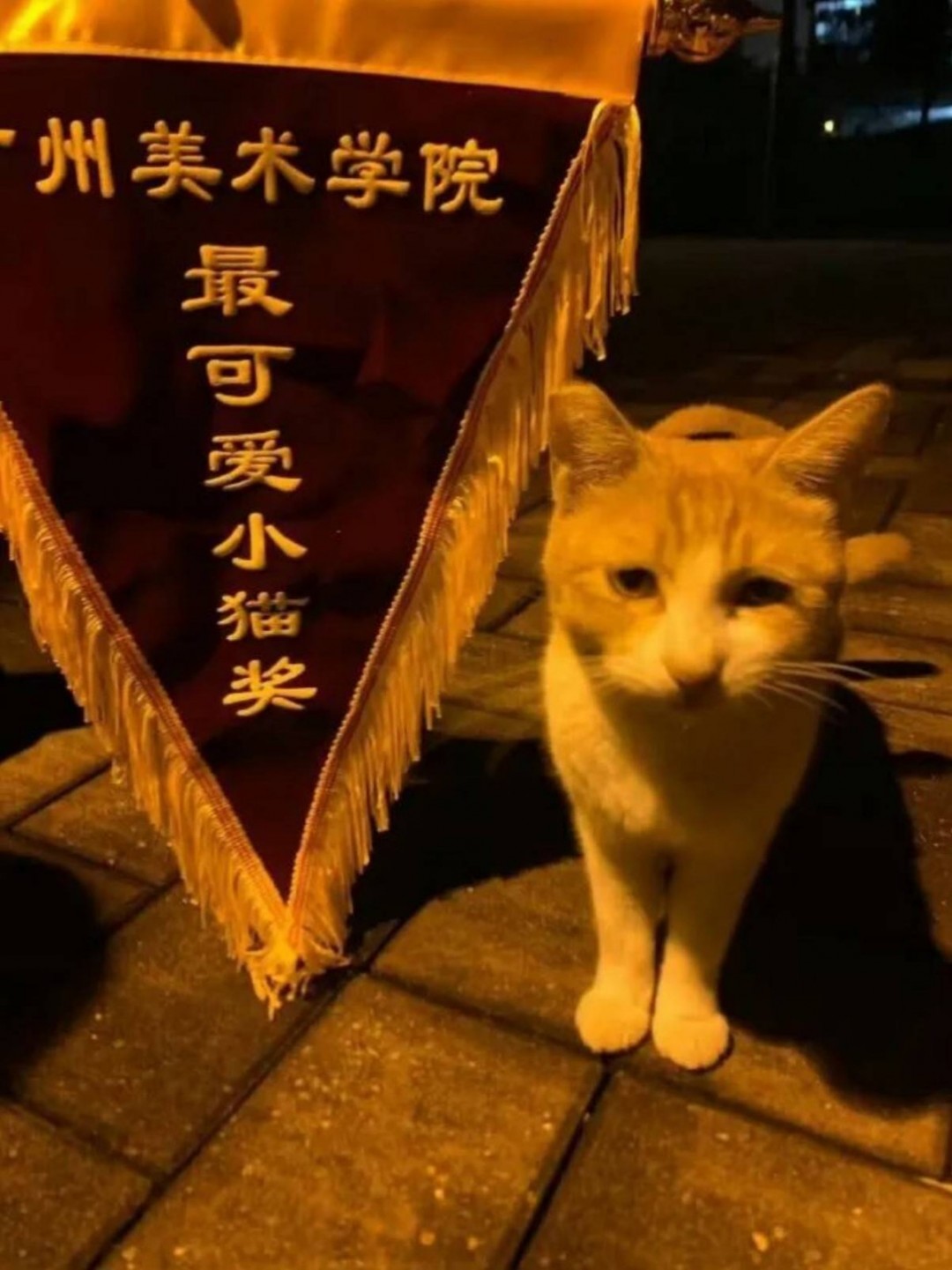周五福利囧圖云飛系列 看到她微笑感覺空氣都變甜