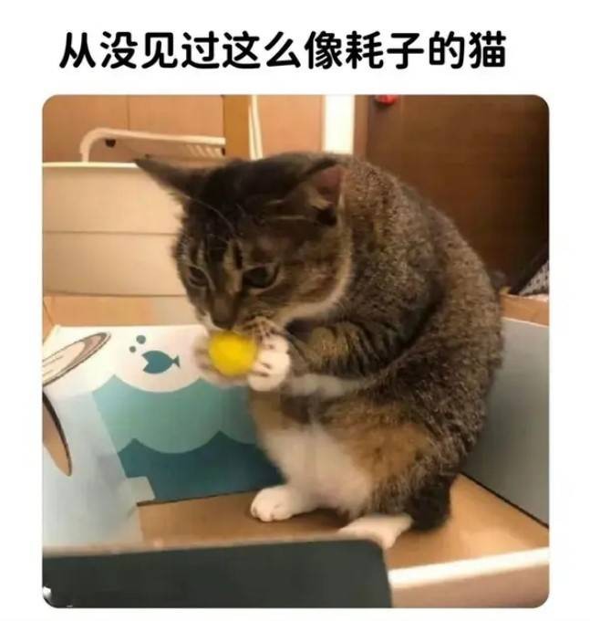 3DM輕松一刻第1487期 夫妻合璧天下無敵眼疾手快
