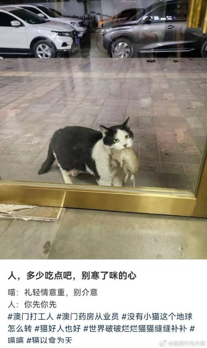 3DM輕松一刻第1487期 夫妻合璧天下無敵眼疾手快