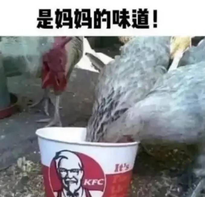 3DM輕松一刻第1487期 夫妻合璧天下無敵眼疾手快