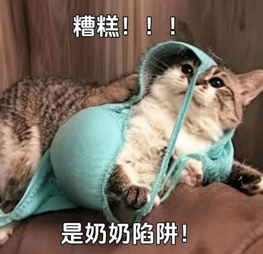 周一內(nèi)涵囧圖云飛系列 美女姿勢(shì)特別這節(jié)目效果不錯(cuò)