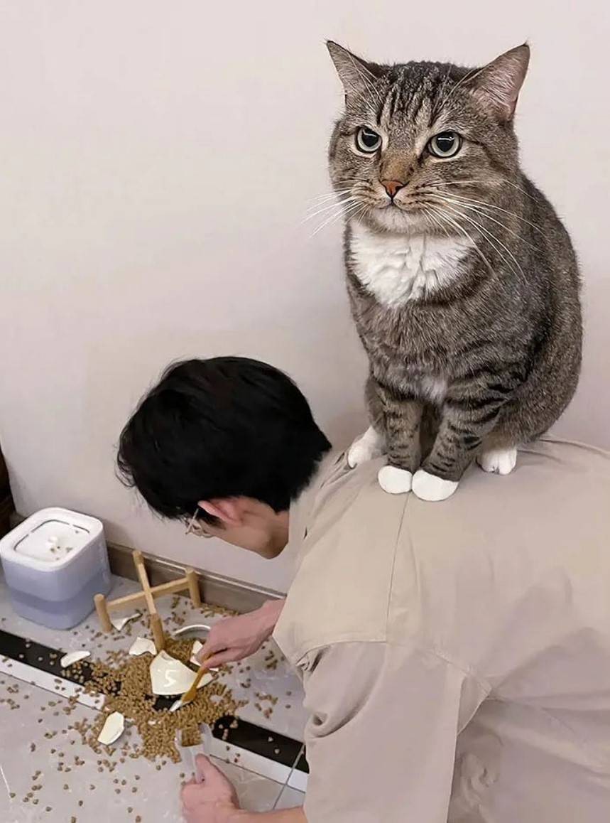 周一內(nèi)涵囧圖云飛系列 美女姿勢特別這節(jié)目效果不錯