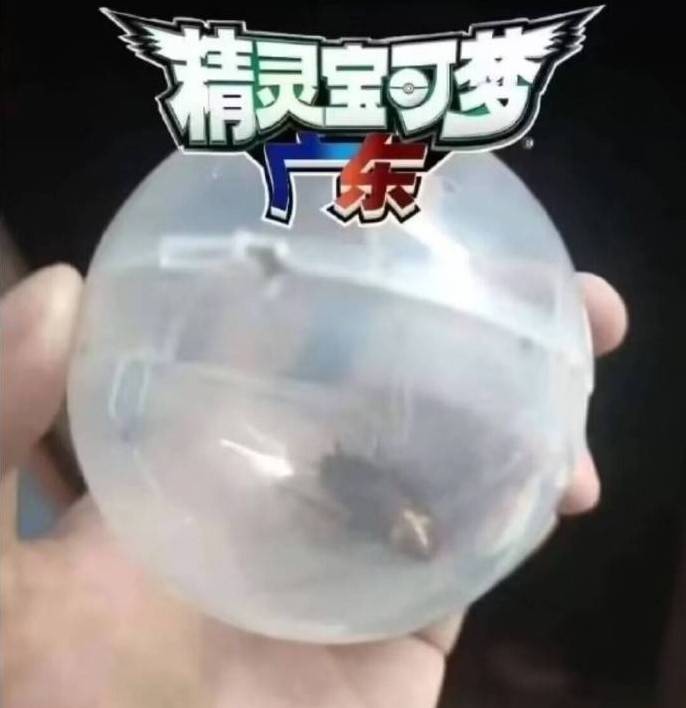 3DM輕松一刻第1489期 你知道女人是用什么做的嗎？