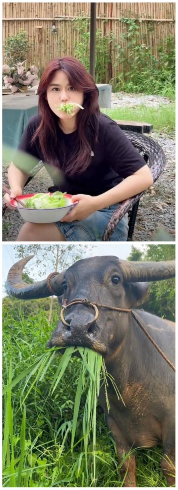 3DM輕松一刻第1489期 你知道女人是用什么做的嗎？