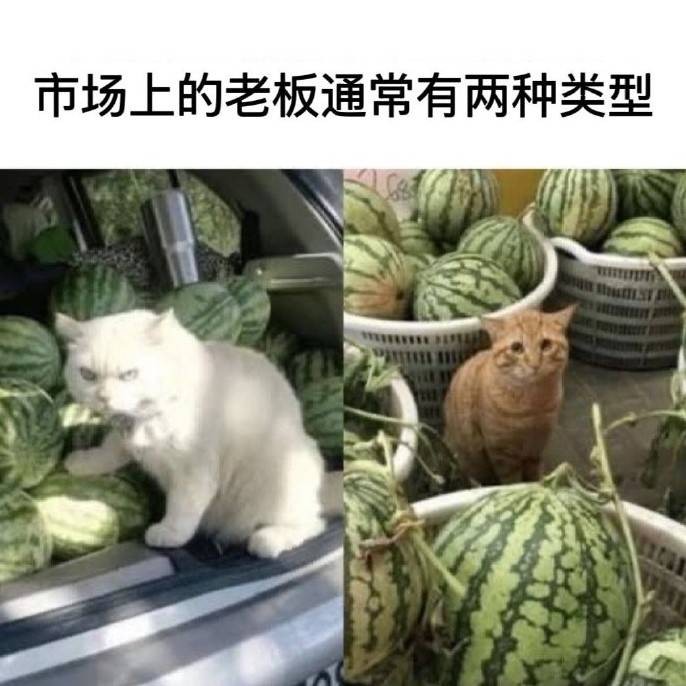 3DM輕松一刻第1489期 你知道女人是用什么做的嗎？