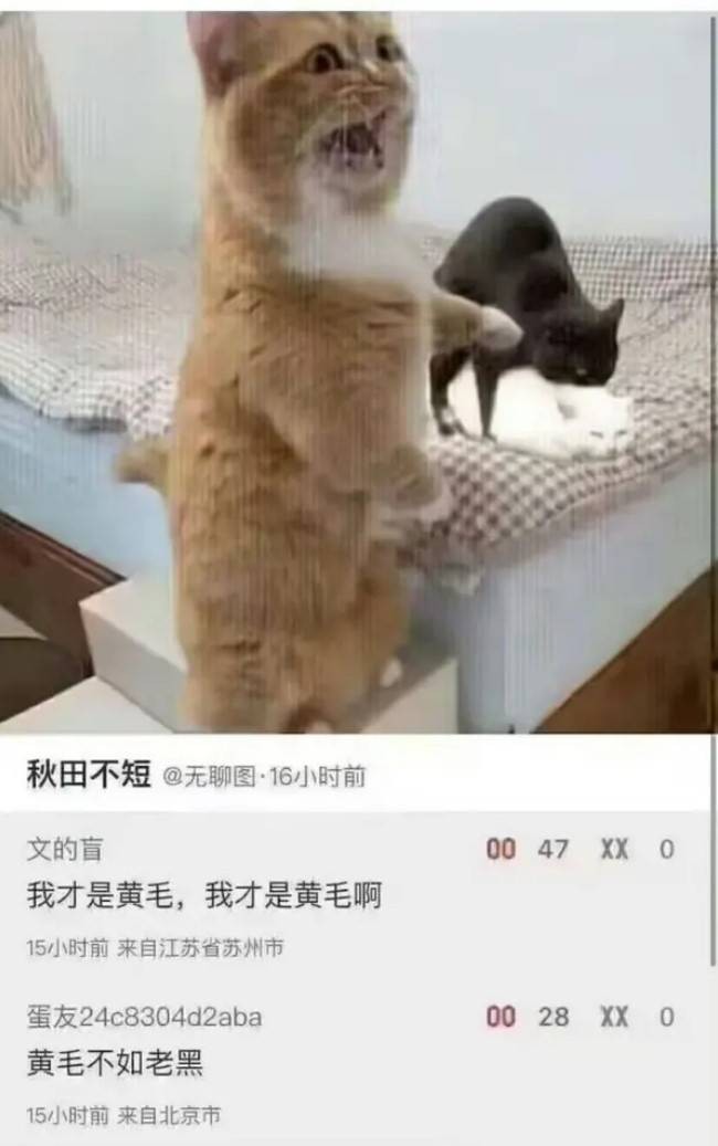 3DMһ̵1491 ôûȤأ