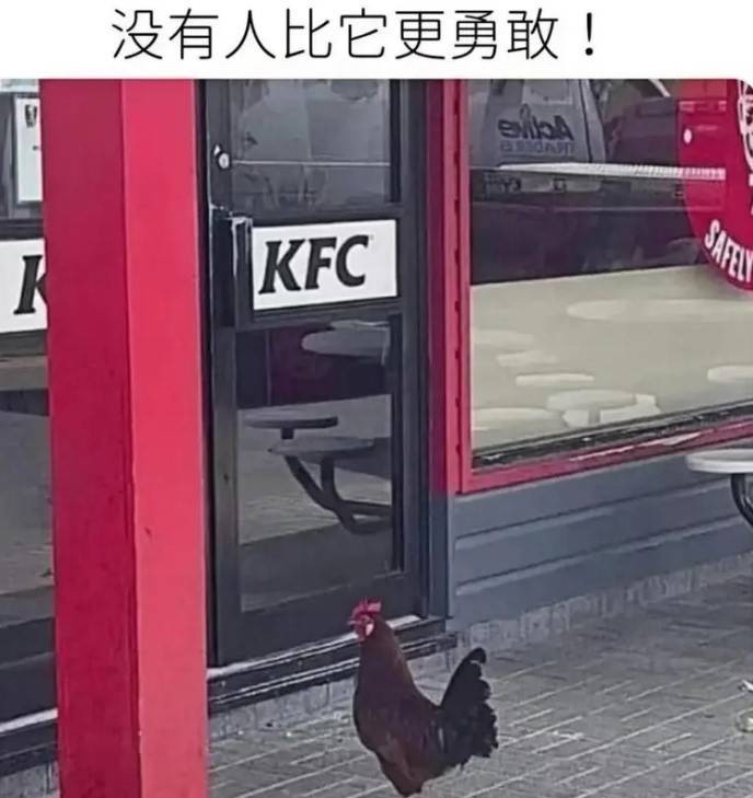 3DMһ̵1491 ôûȤأ