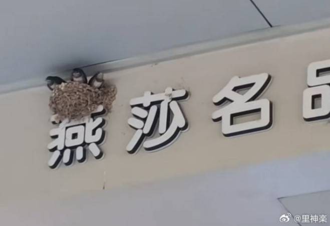 3DMһ̵1491 ôûȤأ