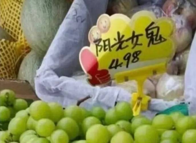 周五福利囧圖云飛系列 美女穿了泳裝為何還穿黑絲