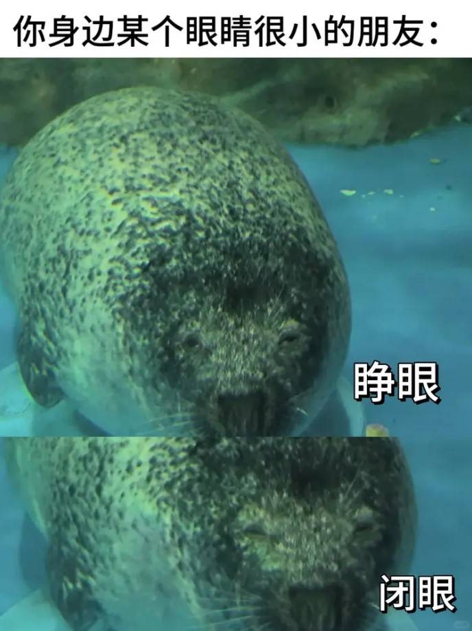3DM輕松一刻第1492期 小姨光顧著拍照不專心看孩子