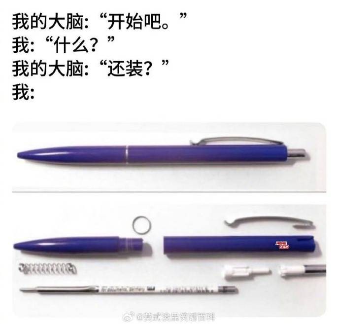 3DM轻松一刻第1494期 你就说这样的婚礼喜不喜欢