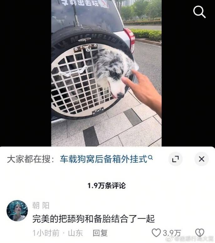 3DM轻松一刻第1494期 你就说这样的婚礼喜不喜欢