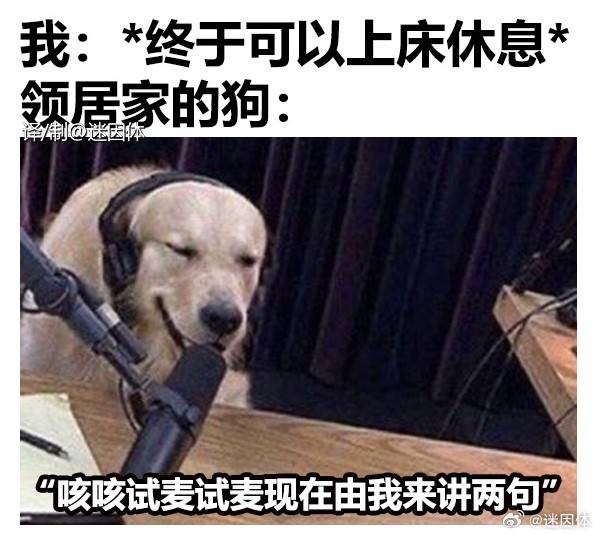 3DM輕松一刻第1494期 你就說這樣的婚禮喜不喜歡