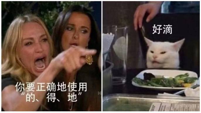 轻松一刻第1495期 果然女人就是天才的绊脚石