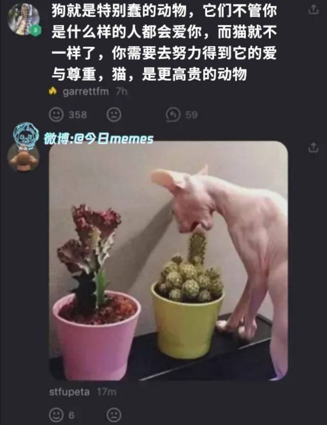 3DM輕松一刻第1495期 果然女人就是天才的絆腳石