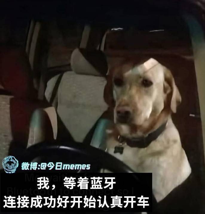 3DM輕松一刻第1495期 果然女人就是天才的絆腳石