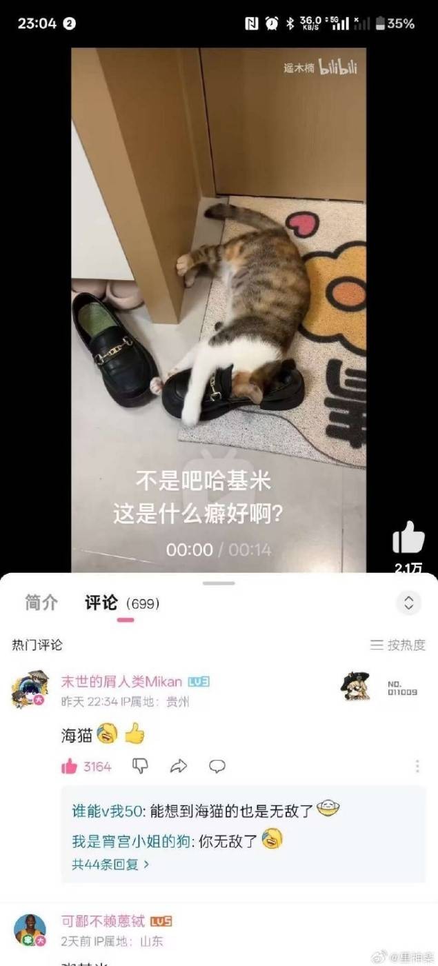3DM輕松一刻第1496期 小妹看起來很放松心情不錯