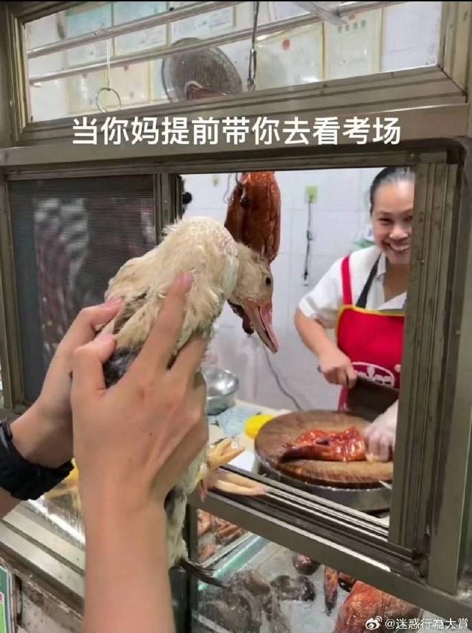 3DMһ̵1496 Сÿܷ鲻