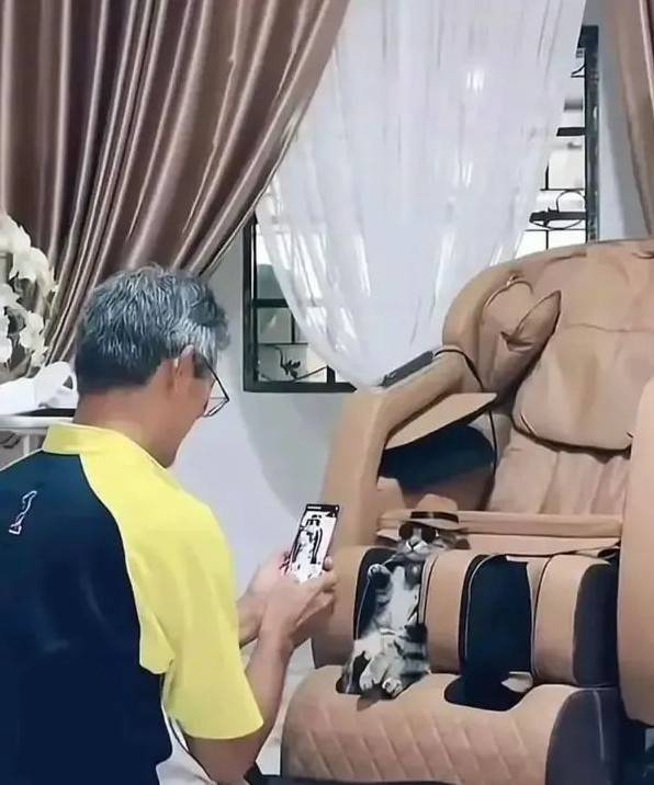 帣ͼƷϵ ֻȷؼ