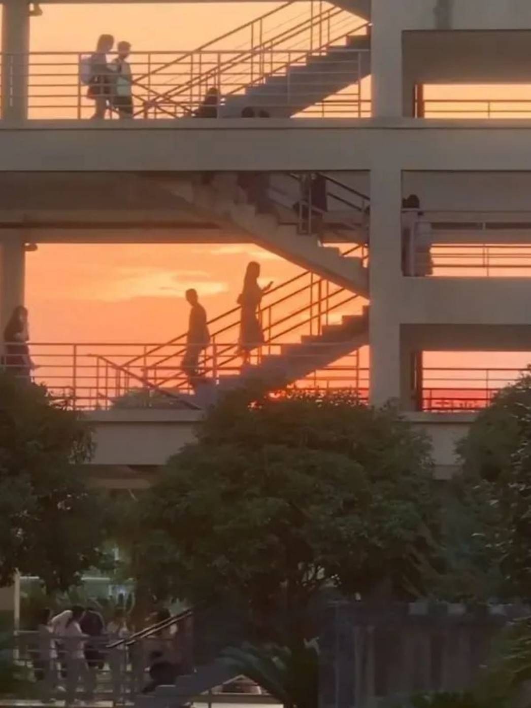 帣ͼƷϵ ֻȷؼ