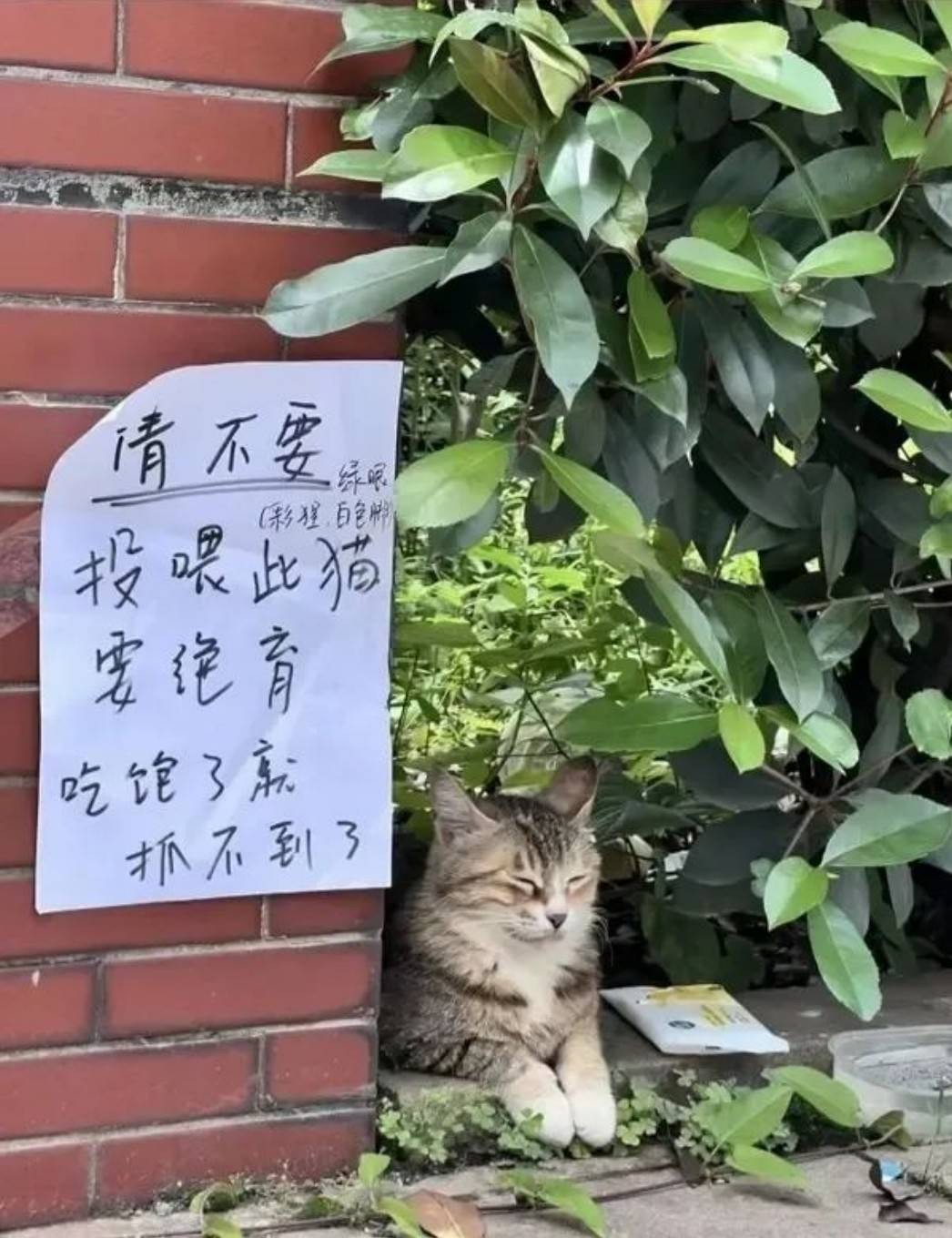 帣ͼƷϵ ֻȷؼ