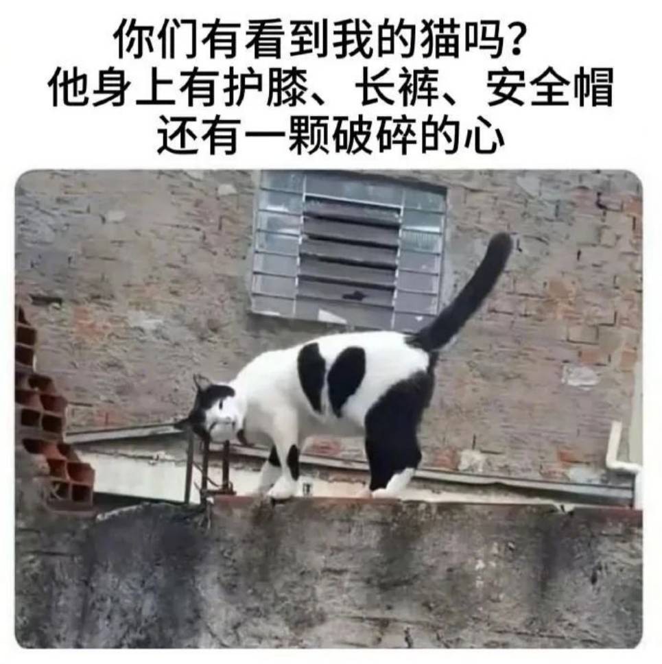 帣ͼƷϵ ֻȷؼ