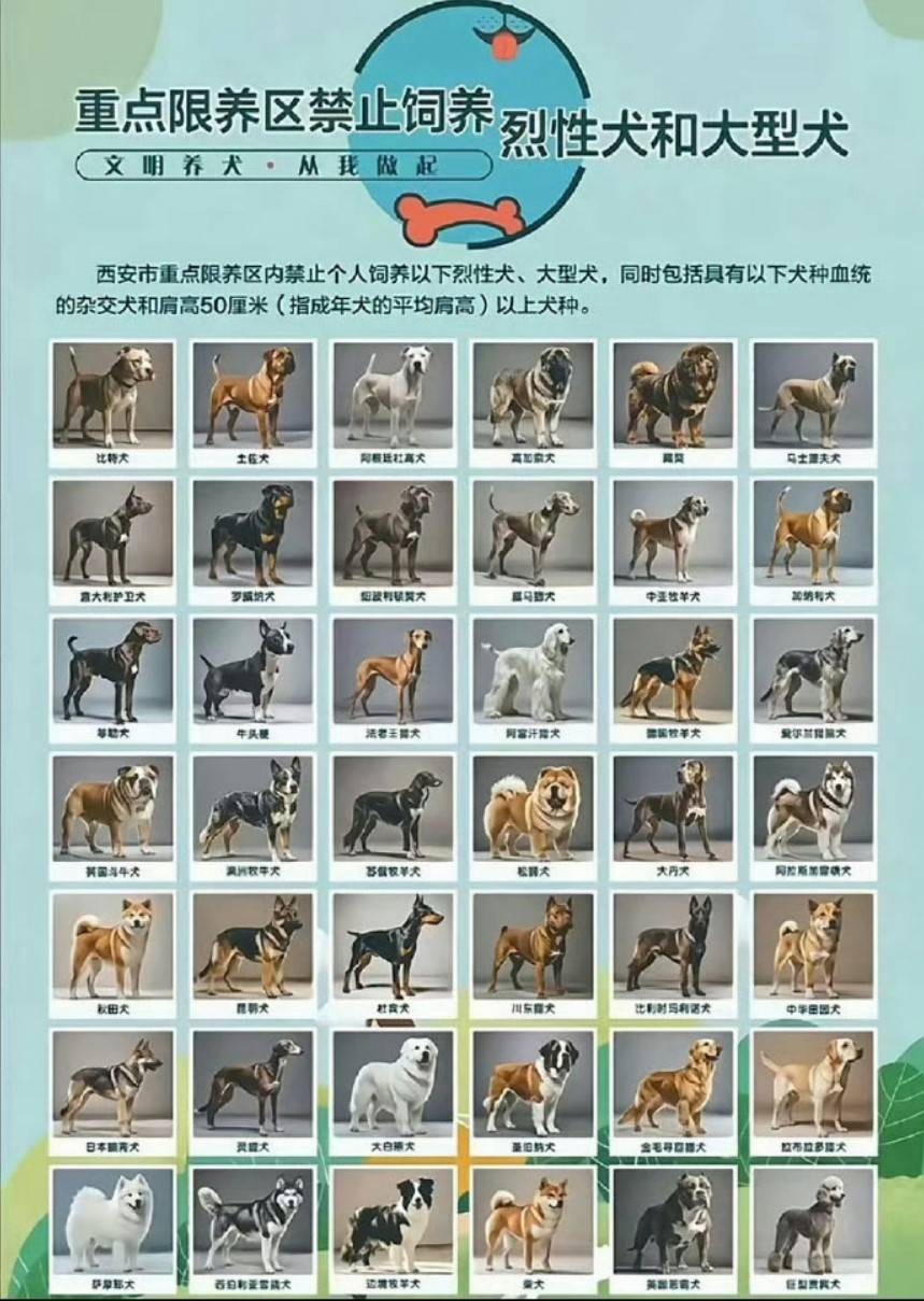 帣ͼƷϵ ֻȷؼ
