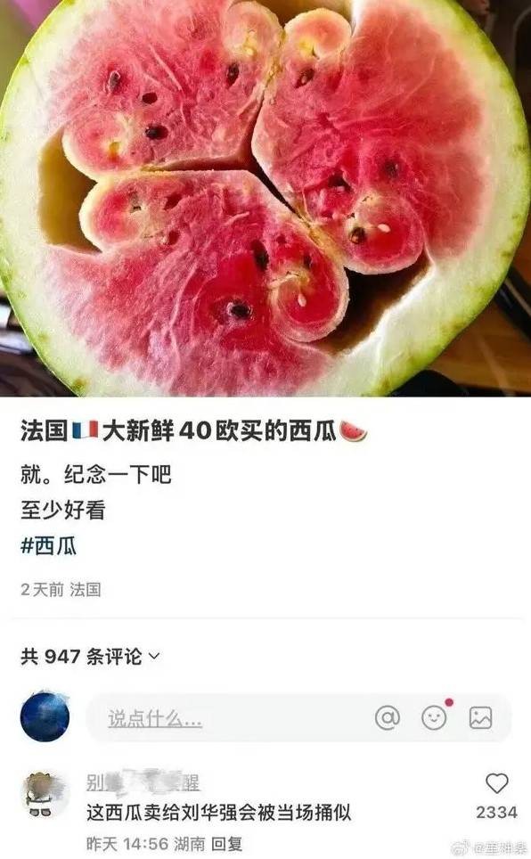 轻松一刻第1497期 不可以瑟瑟呃还是跨物种？