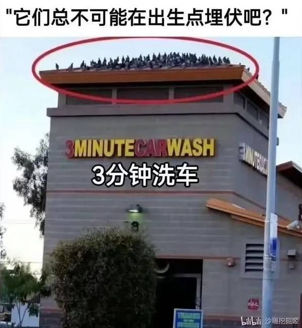 轻松一刻第1497期 不可以瑟瑟呃还是跨物种？