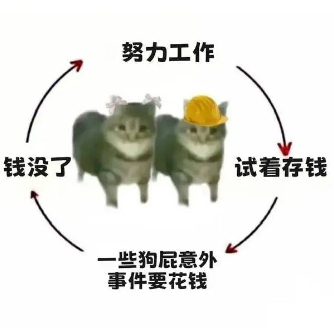 轻松一刻第1497期 不可以瑟瑟呃还是跨物种？